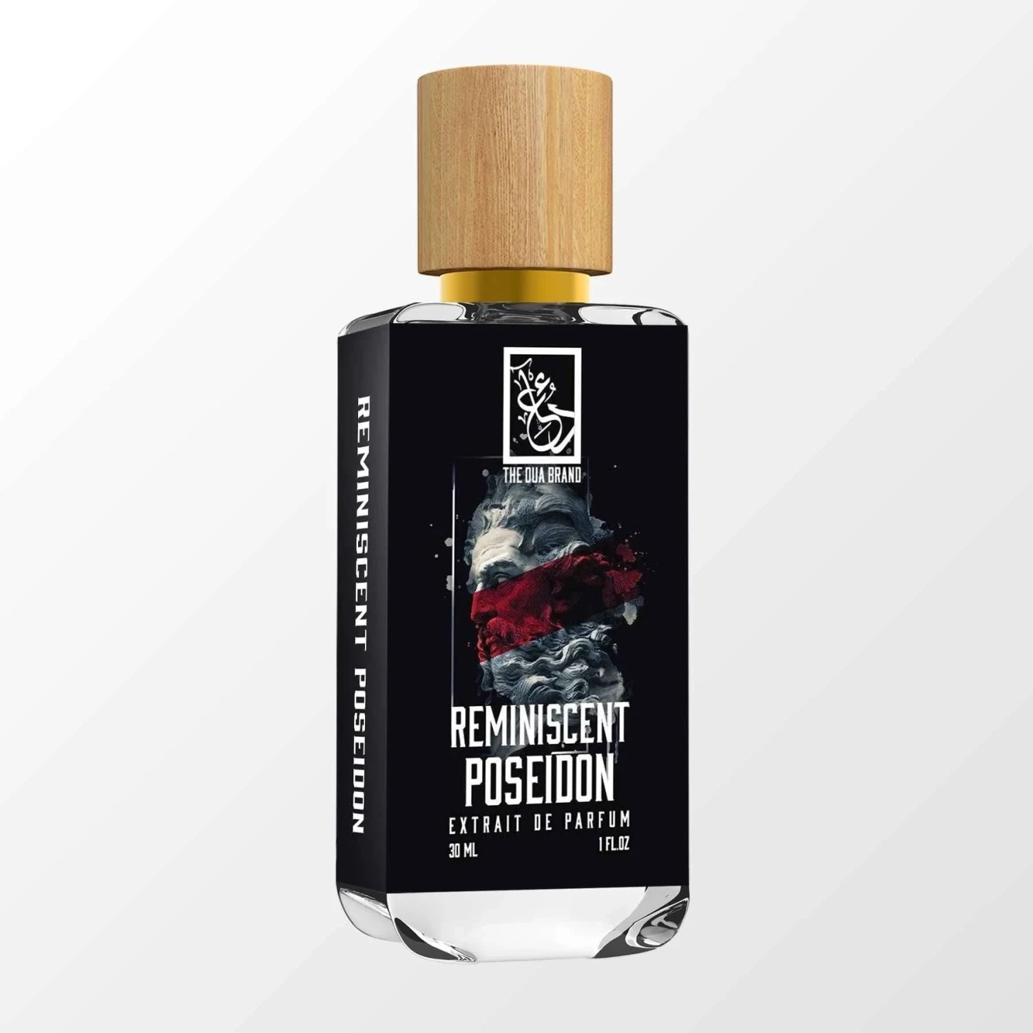 Reminiscent Poseidon 4 Reminiscent Poseidon - Image 2