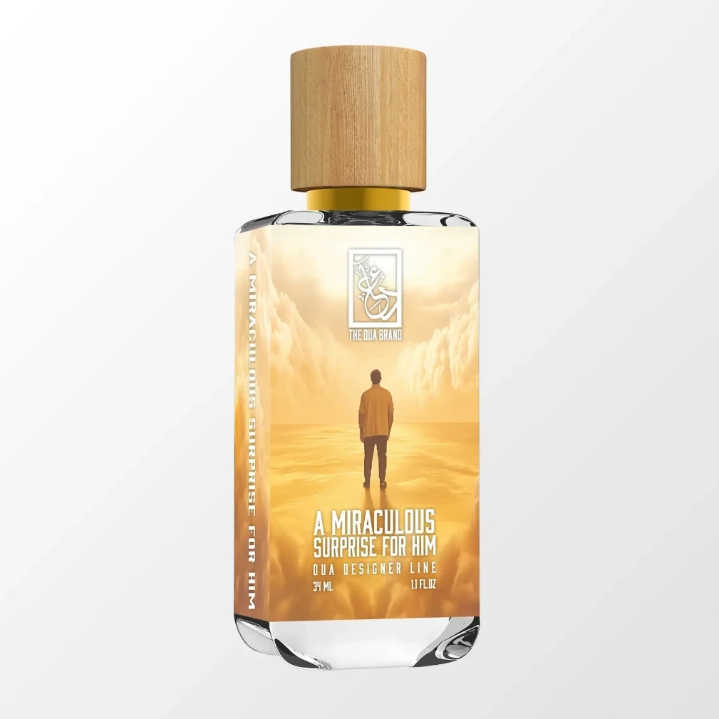 A Miraculous Surprise For Him 4 A Miraculous Surprise For Him - Image 2