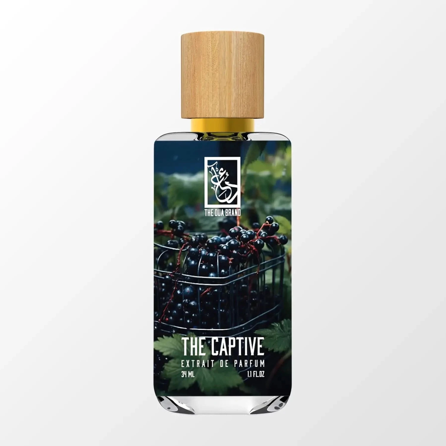 The Captive 3 The Captive